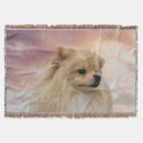 Search for pomeranian blankets Animal