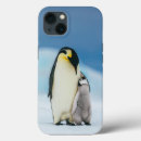 Search for penguin iphone cases Antarctica