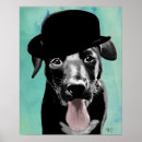Search for labrador posters Animals