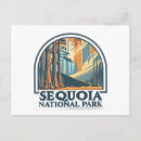 Search for giant postcards Redwood tree