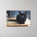 Search for black cat canvas prints Cute