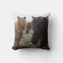 Search for icelandic horse Equestrian