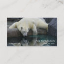 Search for bear business cards Animals