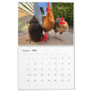 Search for chicken calendars Hens