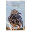 Search for duck calendars waterfowl