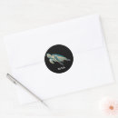 Search for sea turtle design stickers Life