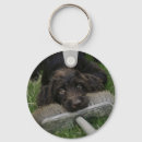 Search for naughty keychains Animals