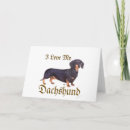 Search for dachshund valentines day cards Pets