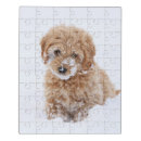 Search for goldendoodle puzzles Cute