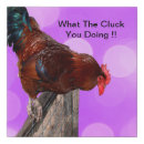 Search for funny chicken cartoon posters Fowl