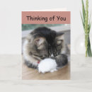 Search for hug cards Kitten