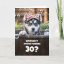 Search for funny 30th birthday cards Dog