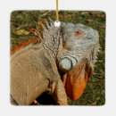 Search for adulting ornaments Animal