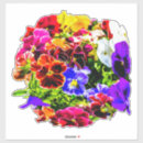 Search for pansy flower stickers Colorful