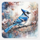 Search for blue jay stickers Watercolor