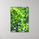 Search for fruit canvas prints tropical