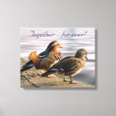 Search for duck canvas prints Wild