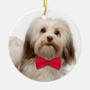 Search for havanese ornaments Xmas