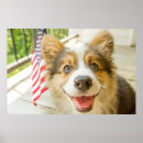 Search for corgi posters Canine