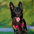 Search for funny dog collars Birthday