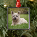 Search for cairn terrier ornaments Cute