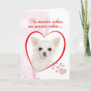Search for chihuahua valentines day cards Animals