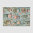 Search for flower pot Cactus