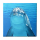 Search for dolphin tiles Water