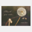 Search for dandelion wrapping paper Botanical