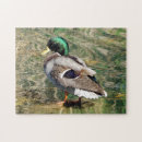Search for mallard duck puzzles Waterfowl