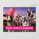 Search for cow birthday invitations Ranch
