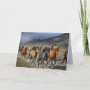 Search for equine holiday cards Nature