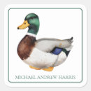Search for mallard duck stickers Preppy
