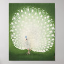 Search for vintage peacock posters Asian