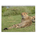 Search for cheetah calendars Lion