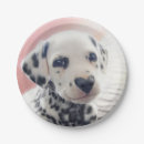 Search for dalmatian paper plates Dalmation