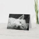 Search for westie birthday cards West highland white terrier