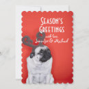 Search for costume cards One animal