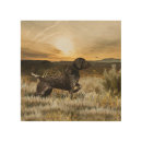 Search for gsp art German pointer