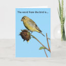 Search for sunflower birthday cards Bird