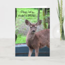 Search for deer funny birthday cards Wildlife