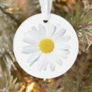 Search for daisy flower ornaments Garden