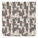 Search for cat clothes Kitty