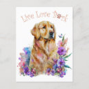 Search for golden retriever postcards Cute