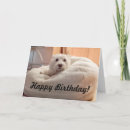 Search for westie birthday cards Westy