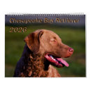 Search for chesapeake bay retriever gifts Canine