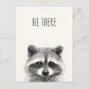Search for funny racoon Raccoon