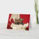 Search for yorkie christmas cards Festive