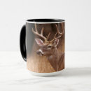 Search for deer antlers mugs Rack