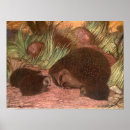 Search for hedgehog posters Forest creatures